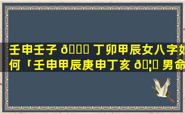 壬申壬子 🕊 丁卯甲辰女八字如何「壬申甲辰庚申丁亥 🦋 男命看八字」